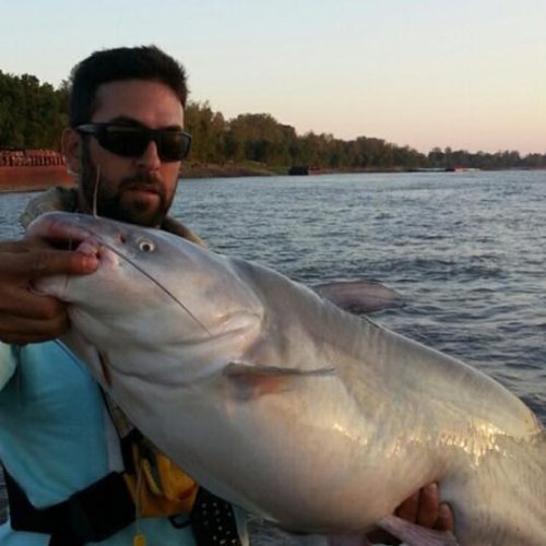 stlcatfishing_0009