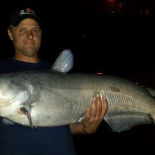 stlcatfishing_0032