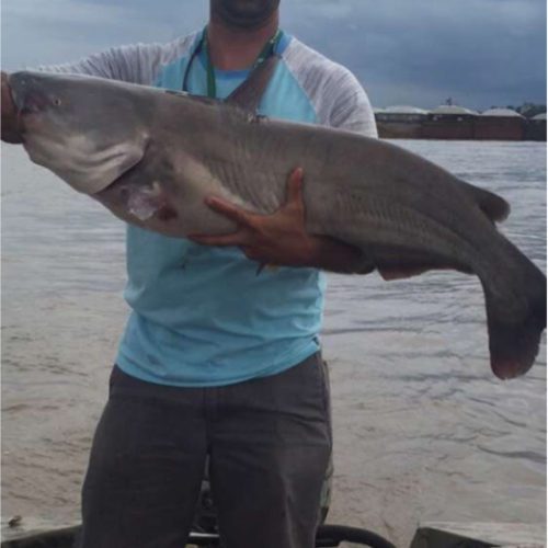 stlcatfishing_0042