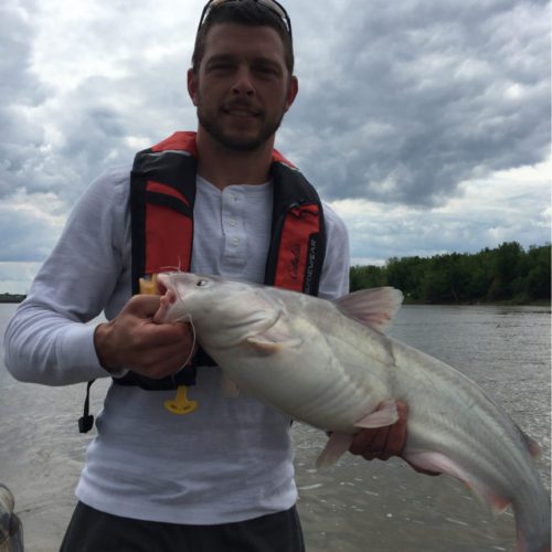 stlcatfishing_0053