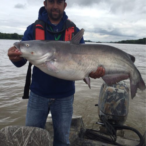 stlcatfishing_0054