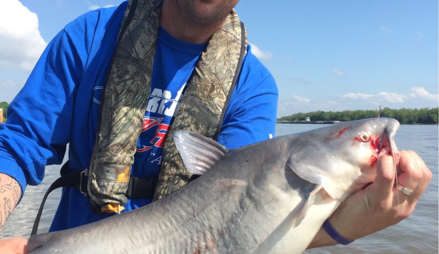 stlcatfishing_0056