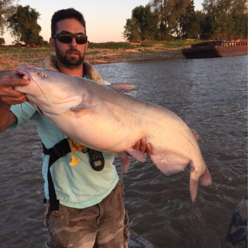 stlcatfishing_0058
