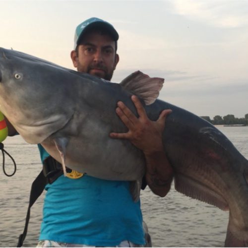 stlcatfishing_0065