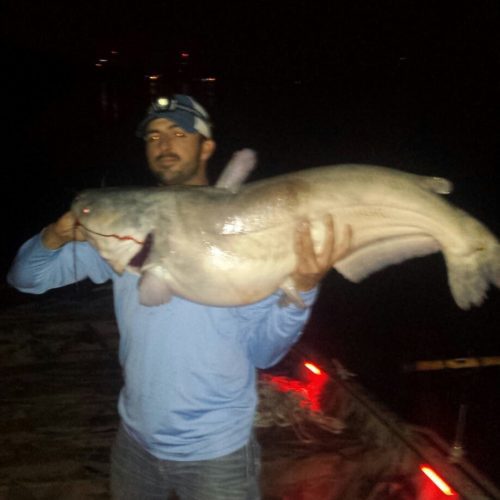 stlcatfishing_0070