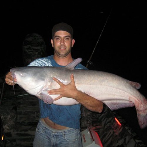 stlcatfishing_0073
