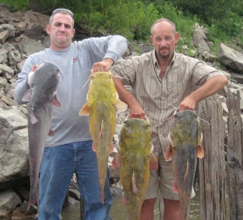 stlcatfishing_0078