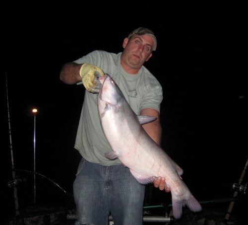 stlcatfishing_0079