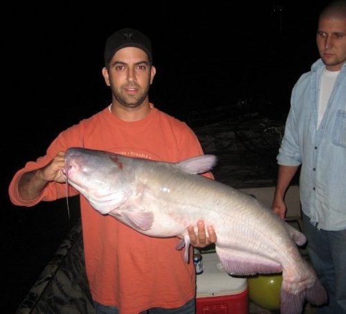 stlcatfishing_0080