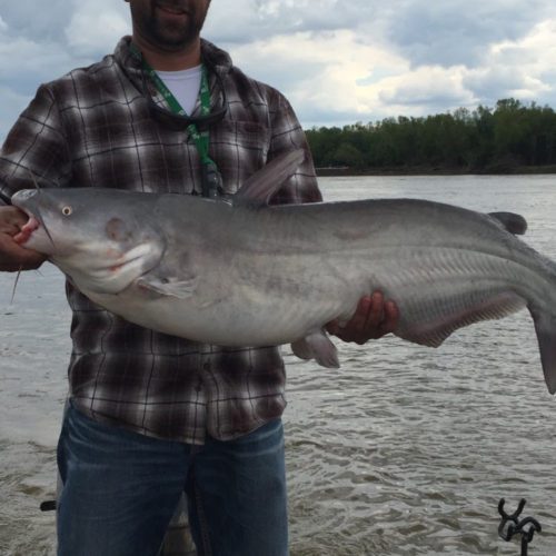 stlcatfishing_0092