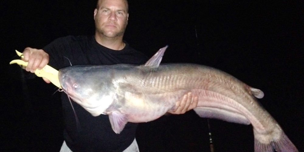 stlcatfishing_0099