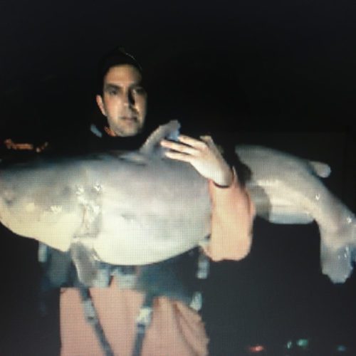 stlcatfishing_0100