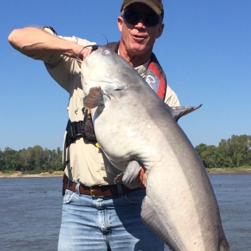 stlcatfishing_0104