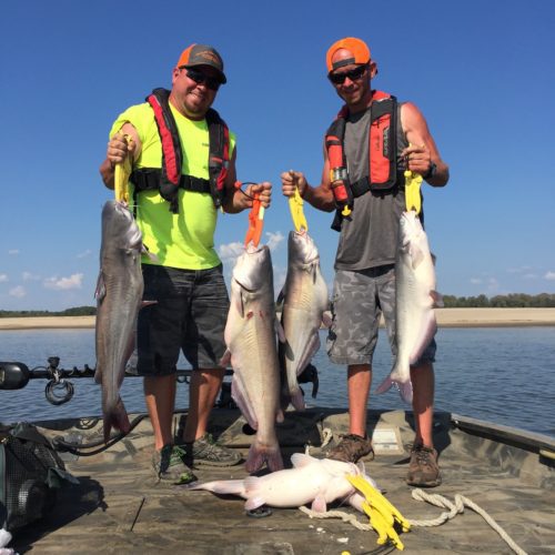 stlcatfishing_0111