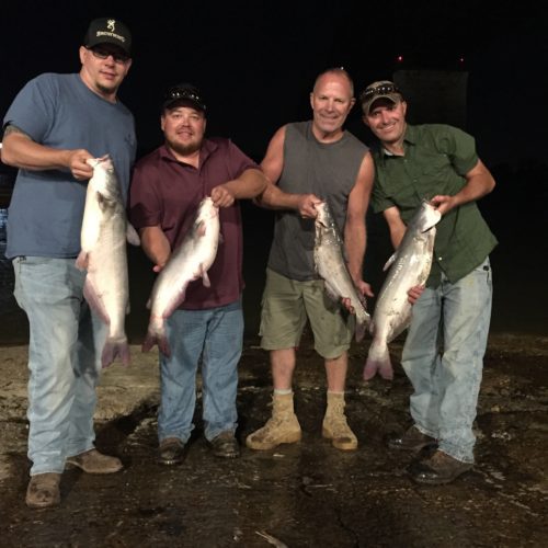 stlcatfishing_0119