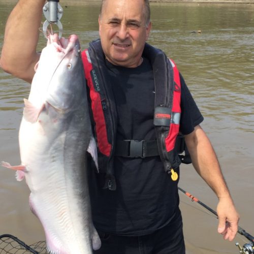 stlcatfishing_0125