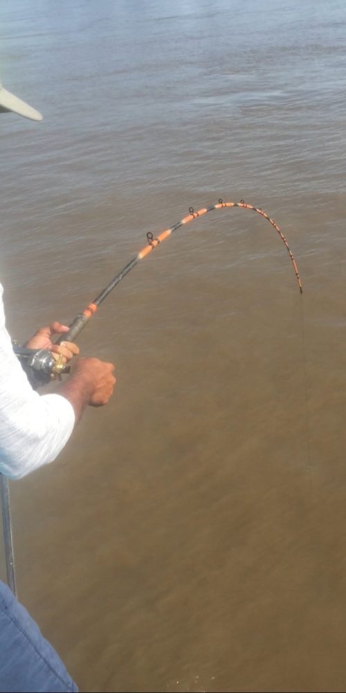 stlcatfishing_0126