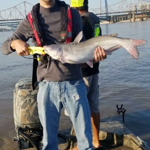 stlcatfishing_0127