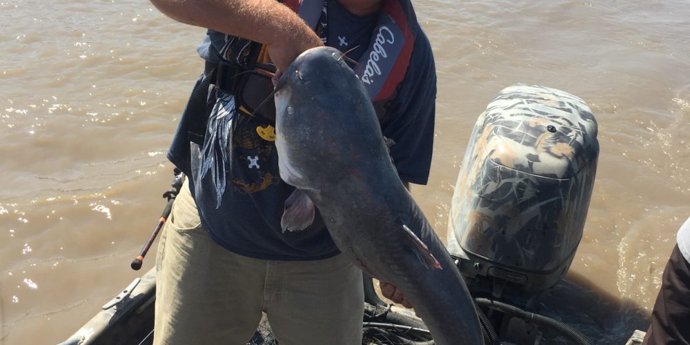 stlcatfishing_0130