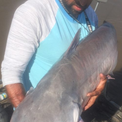 stlcatfishing_0131