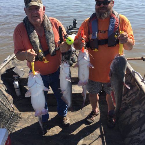 stlcatfishing_0158