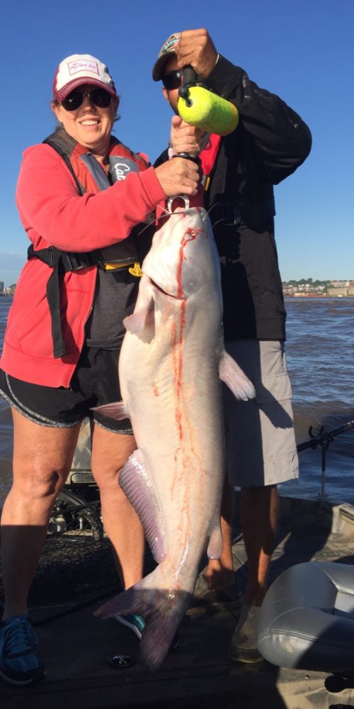 stlcatfishing_0181