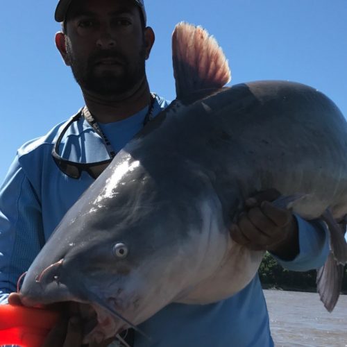 stlcatfishing_0182