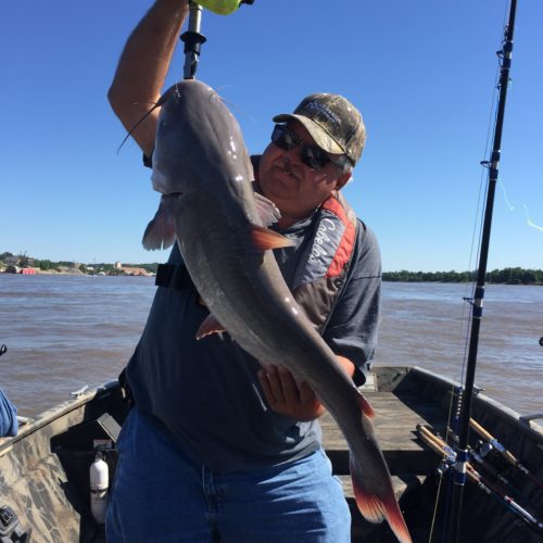stlcatfishing_0183