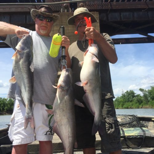stlcatfishing_0184