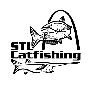 stlcatfishing
